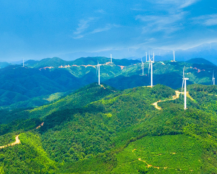 藍(lán)固新能源